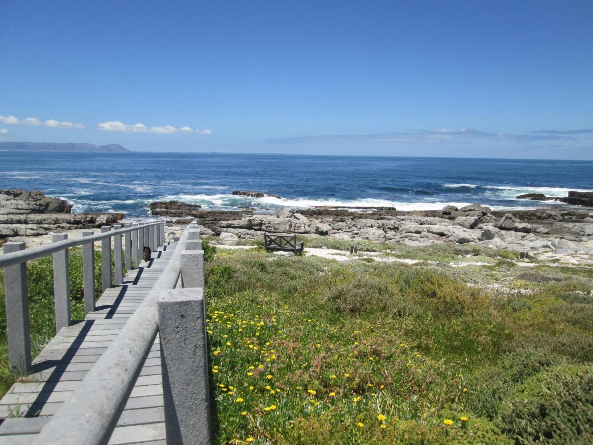 Apartamento The Potting Shed Self Catering Hermanus Exterior foto