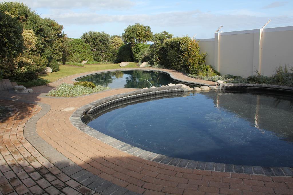 Apartamento The Potting Shed Self Catering Hermanus Habitación foto